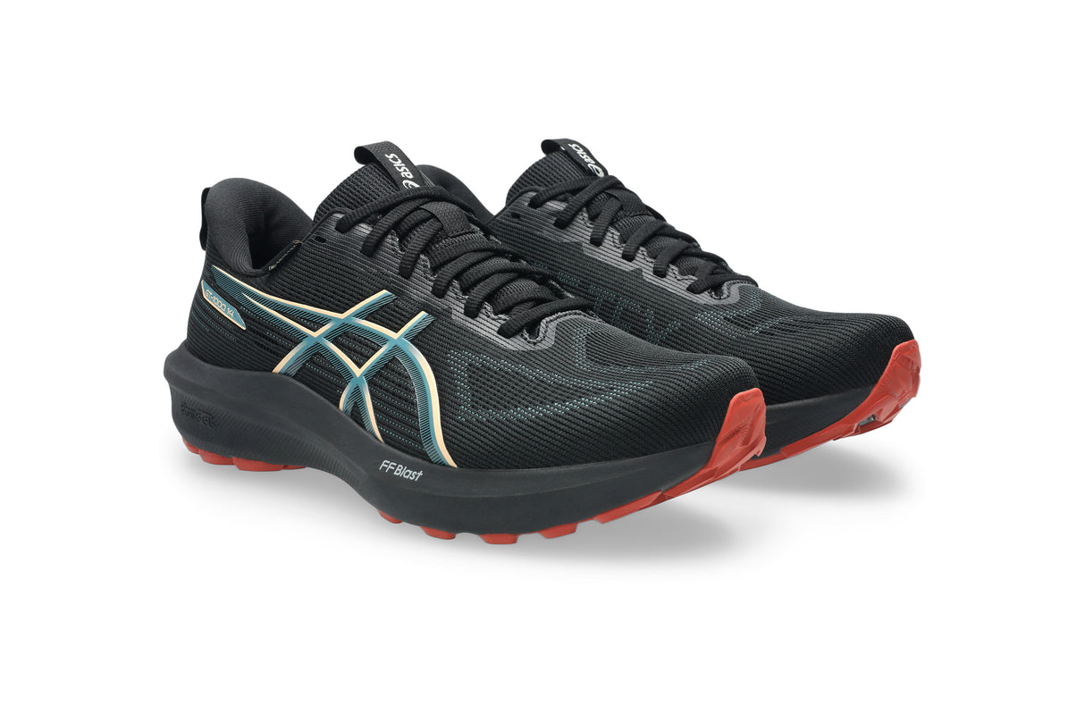M Asics GT-1000 14 GTX