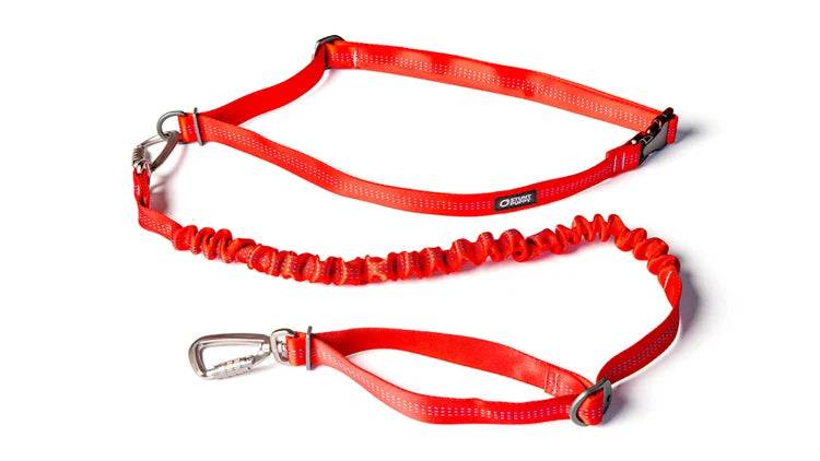 Stunt Puppy - Stunt Runner