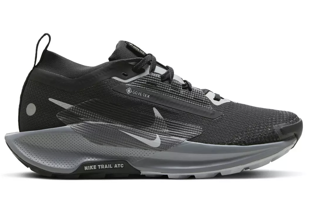 M Nike Pegasus Trail 5 GTX