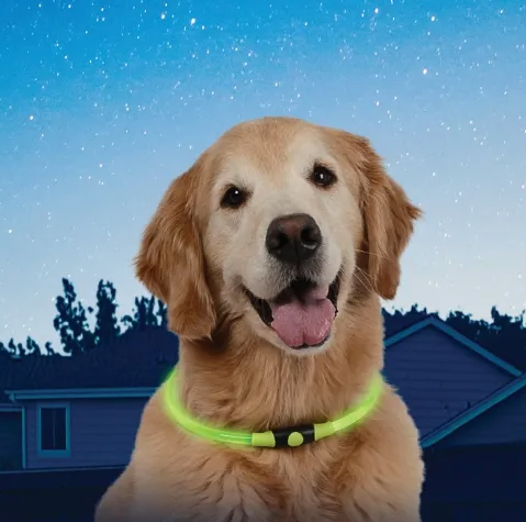 NiteHowl LED Safety Necklace