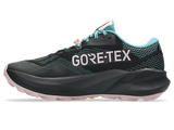 W Asics Trabuco 14 GTX