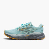 W Brooks Cascadia 19
