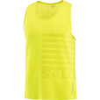 M Salomon Aero Singlet GFX