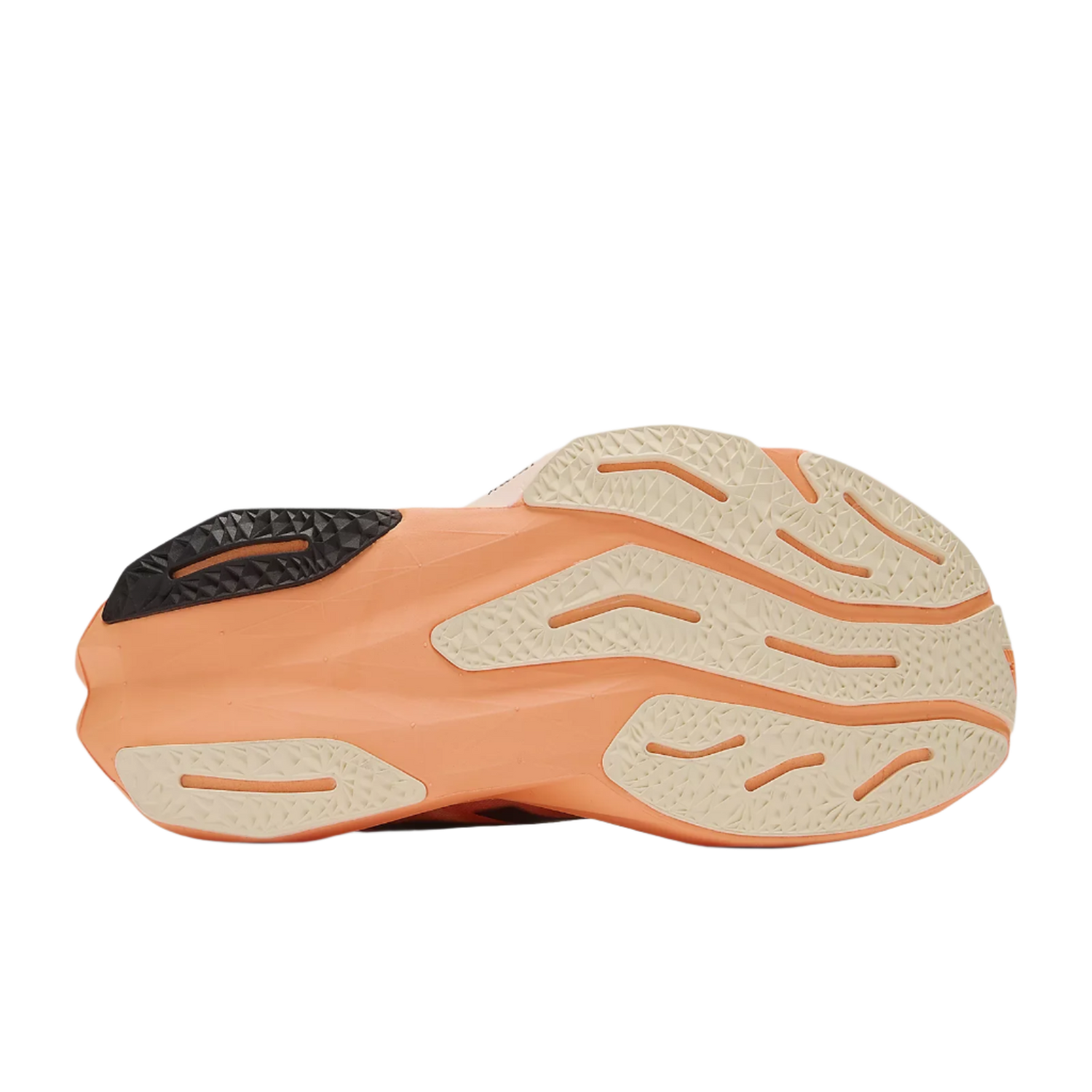 Womens New Balance Fuelcell Rebel WFCXCC4