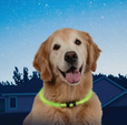 NiteHowl LED Safety Necklace