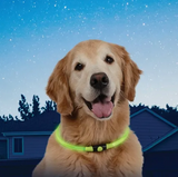 NiteHowl LED Safety Necklace
